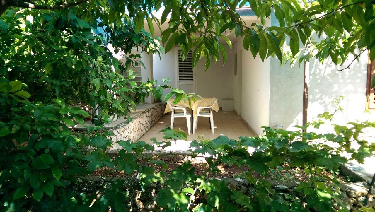 Apartmani Sandro Ivan Dolac Exteriér fotografie
