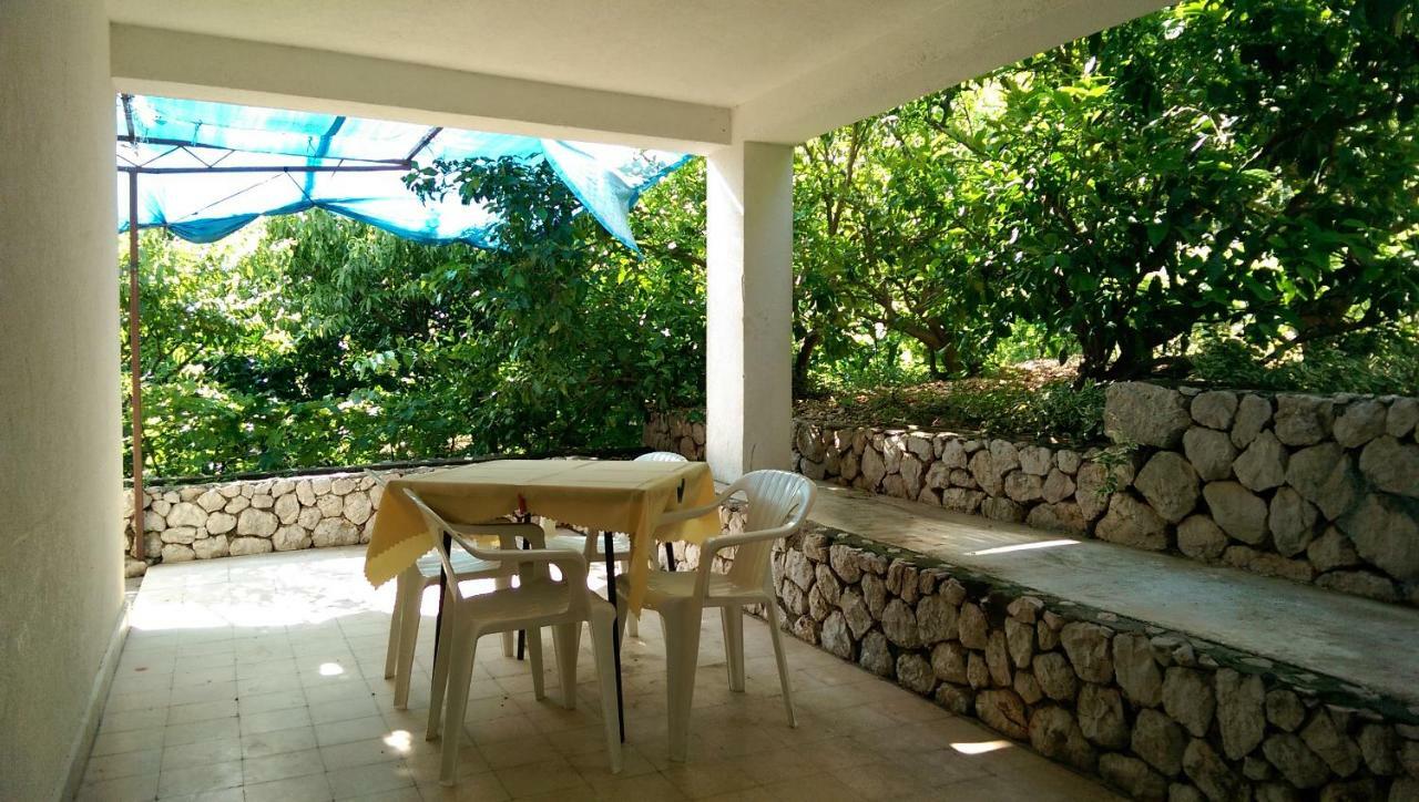 Apartmani Sandro Ivan Dolac Exteriér fotografie